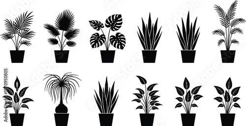 Collection of potted indoor plant silhouettes, tropical and houseplant icons, monstera and palm leaves, snake plant and foliage vector set