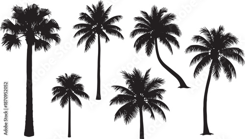 Set of black silhouette tropical palm trees on transparent background isolated