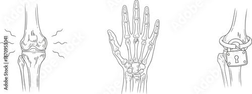 Human bone anatomy illustration showing knee joint pain, hand skeleton structure and locked joint concept, medical orthopedic line art drawing