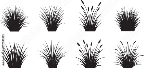 Grass reeds and cattails silhouettes set field plant design elements nature
