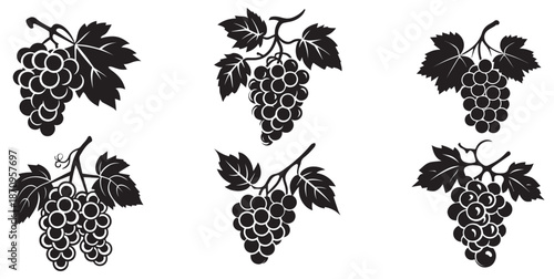 Grapes icon black and white background design. silhouette style, vector illustration.