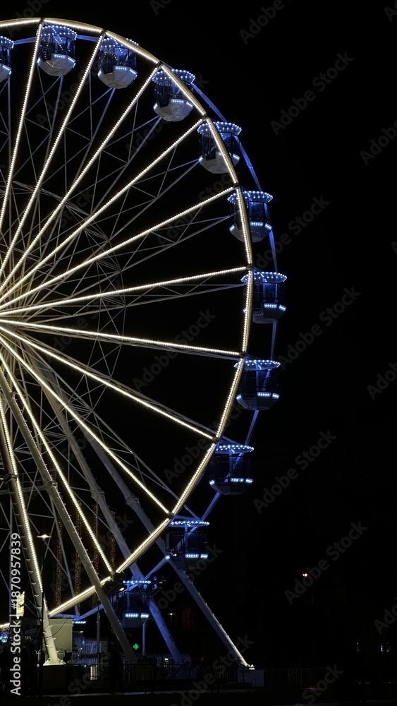 Fototapeta premium ferris wheel at night