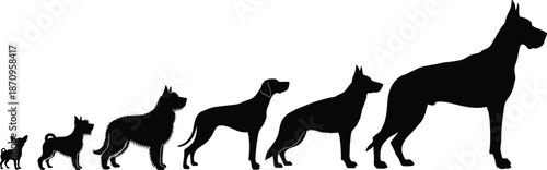 Black Silhouette Illustration of Diverse Dog Breeds Showing Size Comparison From Small Chihuahua to Large Great Dane for Canine Pet Design