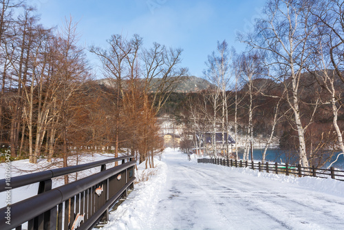 Beautiful winter landscape in Nikko, Japan, with a snow-covered road and bridge leading toward a peaceful forest and lake. Perfect for winter travel and tourism destination concept.