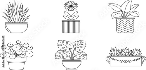 Decorative Potted Houseplant Line Icon Set Featuring Monstera, Succulent, Flower, Pilea, And Leafy Indoor Garden Illustrations For Interior Design
