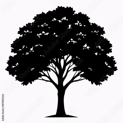 Silhouette of a majestic tree in full bloom Vector