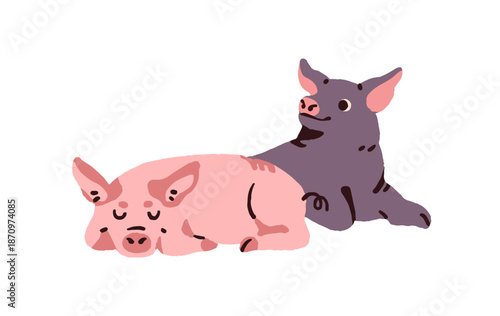 Cute piggies sleep together. Funny piglets have a rest. Adorable asleep baby pigs are lying. Amusing farm animals. Happy sleepy livestock. Flat isolated vector illustration on white background.