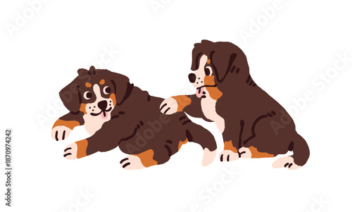 Cute puppies have fun together. Funny baby doggies play. Adorable pups of Bernese Mountain Dog. Amusing pets, domestic animals. Flat isolated vector illustration on white background.