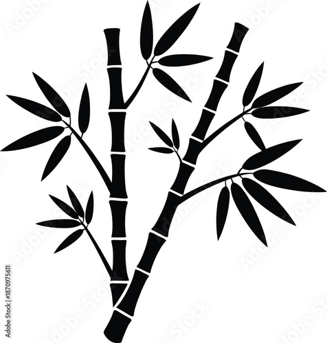 A black and white illustration of a bamboo plant with leaves and stems on a plain white background