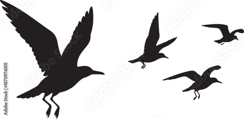 Silhouette of birds flying in formation together