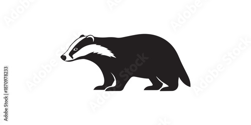 Silhouette of a badger with short legs and a long body standing on a white background in a simple design,black color African badger animal silhouette vector illustration, solid white background