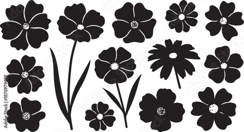Black and white flowers on white background illustration
