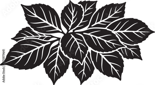 Black and White Leafy Floral Botanical Illustration Artwork