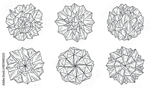 A collection of six geometric polygon shapes in black and white outline vector style, ideal for modern design projects