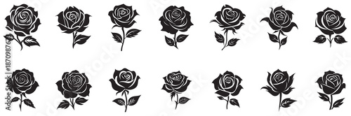Rose Black and white icon silhouette background. Vector illustration design.