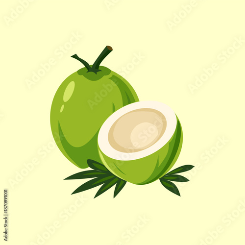 Fresh green coconut vector illustration ideal for branding, packaging, icons, and tropical designs