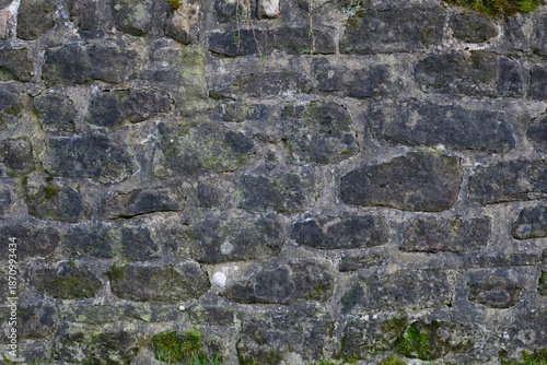 A wall made of stone with moss growing on it