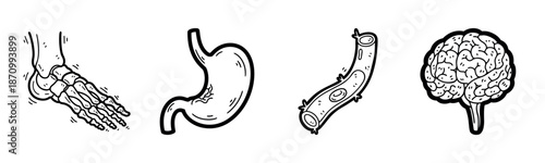 Hand-drawn medical illustrations of foot, stomach, artery, and brain on white background