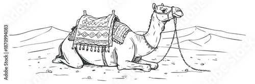 A resting camel with decorative saddle in black and white outline vector style, suitable for travel and adventure themes