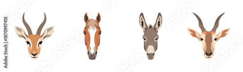 Portraits of antelope, horse, donkey, and goat on white background