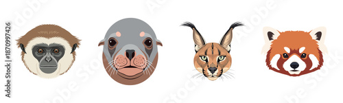 Illustrated portraits of various animals: monkey, seal, caracal, red panda