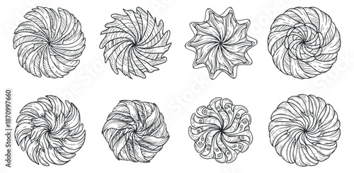 A collection of eight intricate swirl and spiral designs in black and white line art vector style, perfect for decorative projects and creative backgrounds