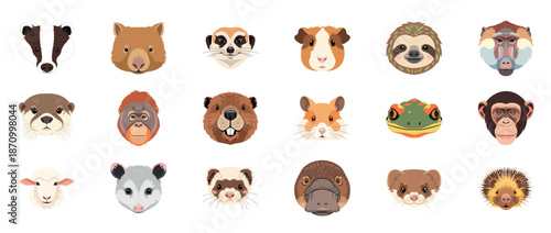 Collection of various animal faces including sloth, platypus, and baboon