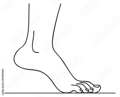 A minimalist line art illustration of a human foot in outline style, suitable for health and wellness designs