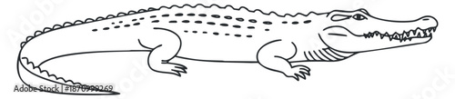 A crocodile illustration in black and white outline vector style, suitable for educational and wildlife-related projects