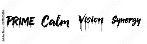 Bold graffiti words "prime calm vision synergy" with dripping black paint on white background
