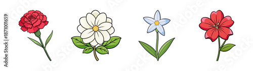 Beautiful floral arrangement featuring red white and blue flowers vector illustration art design