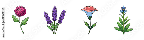 Watercolor floral illustration featuring lavender and other flowers in vibrant colors and detail