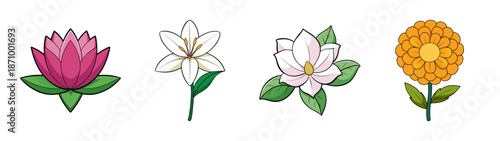Beautiful flower illustration vector art featuring pink lily magnolia and orange blossom drawing design