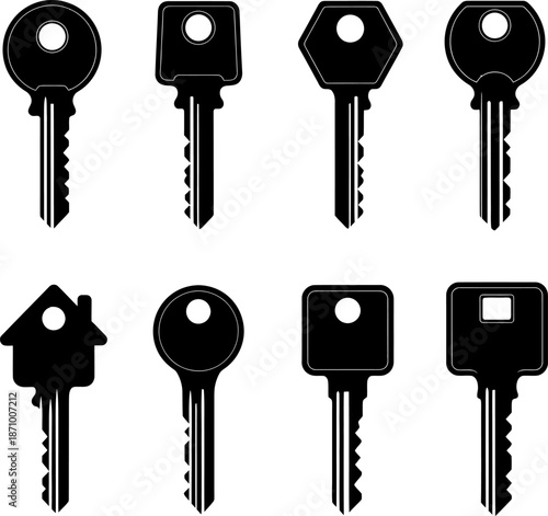 Collection of various key shapes Vector