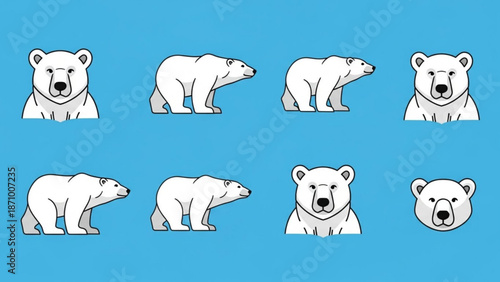 Eight white polar bears in different poses on blue background for design and decoration with white bear and animal and cartoon and illustration