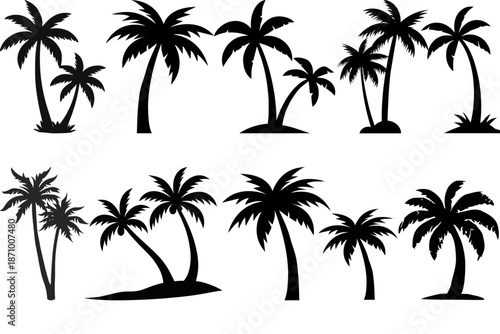 Silhouettes of various palm trees against a white background, depicted in different poses and arrangements.