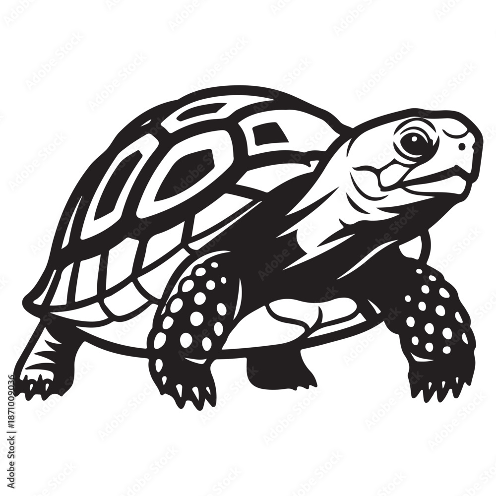 Fototapeta premium Stylized Black and White Tortoise with Detailed Shell Illustration