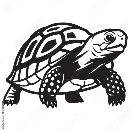 Stylized Black and White Tortoise with Detailed Shell Illustration