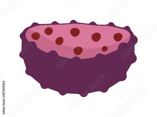 Structure Lysosome Anatomy Cell