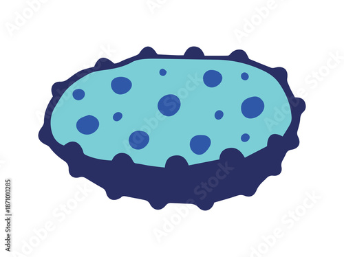 Lysosome Cell Anatomy