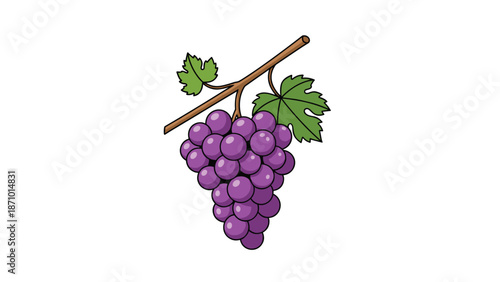 Vibrant bunch of ripe purple grapes hanging beautifully from a simple vine with a single green leaf, ideal for autumn harvest.