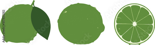Lime fruit set whole and sliced, fresh citrus illustration with leaf and segment detail – flat vector illustration
