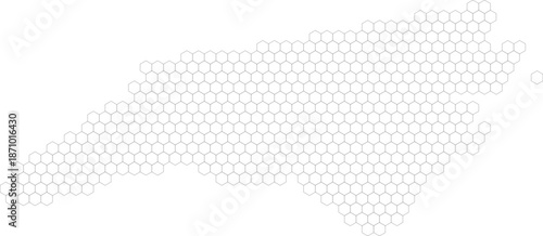 North Carolina, United States – hexagonal grid vector map (Albers equal area conic projection, PPT-compatible & fully editable)