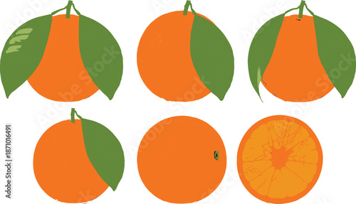 Orange fruit set whole and sliced, fresh citrus illustration with leaf detail, juicy segment artwork – flat vector illustration