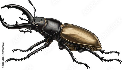 Realistic stag beetle illustration, detailed insect anatomy, isolated on white background, wildlife entomology concept art