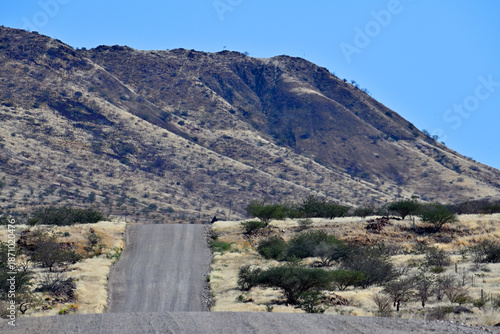 Scenic view of a Gravel Road in African desert