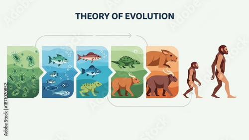Illustration of the theory of evolution showing the progression from microorganisms to humans through various stages of animal evolution with biology