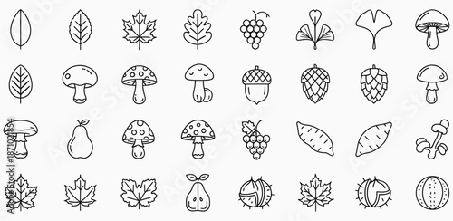 Collection of autumn leaves mushrooms grapes acorns pears and sweet potatoes leaf