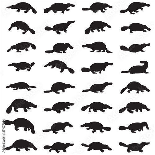 Platypus Silhouette Svg Illustration