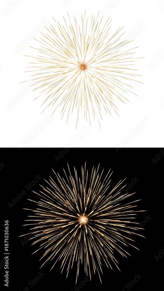 Obraz premium Fireworks Exploding in Dark and Light Backgrounds